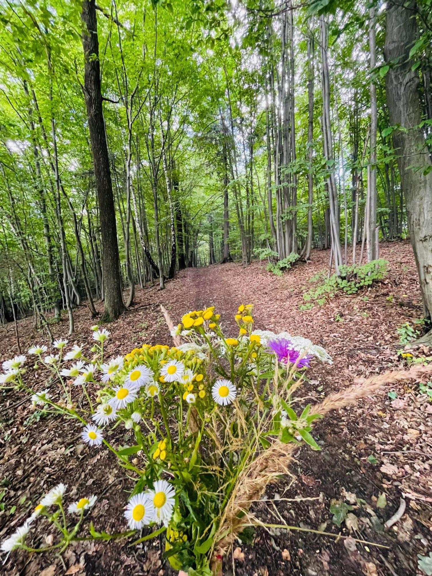 Wioska Jasia I Malgosi Izdebnik Exteriér fotografie