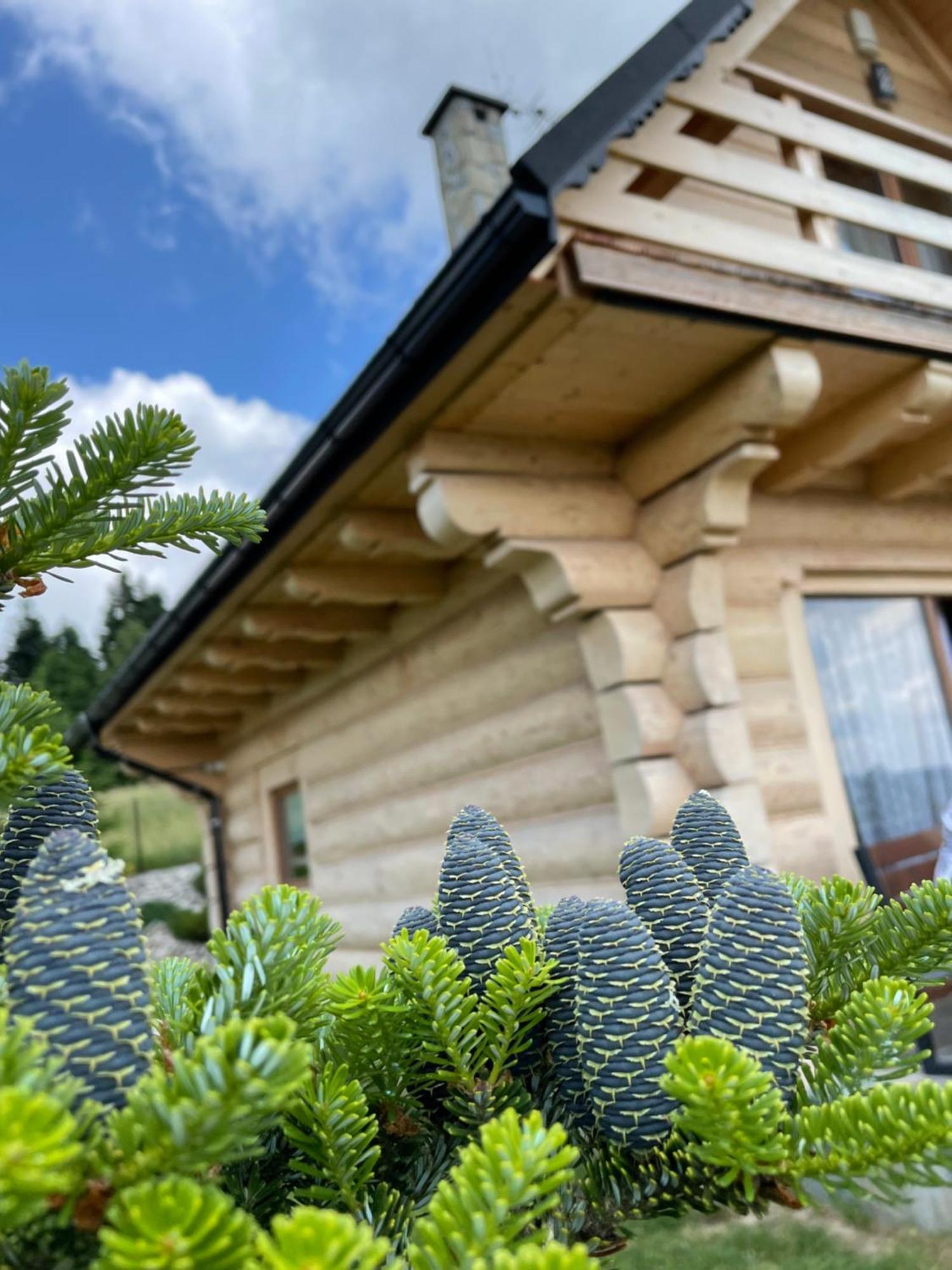Wioska Jasia I Malgosi Izdebnik Exteriér fotografie