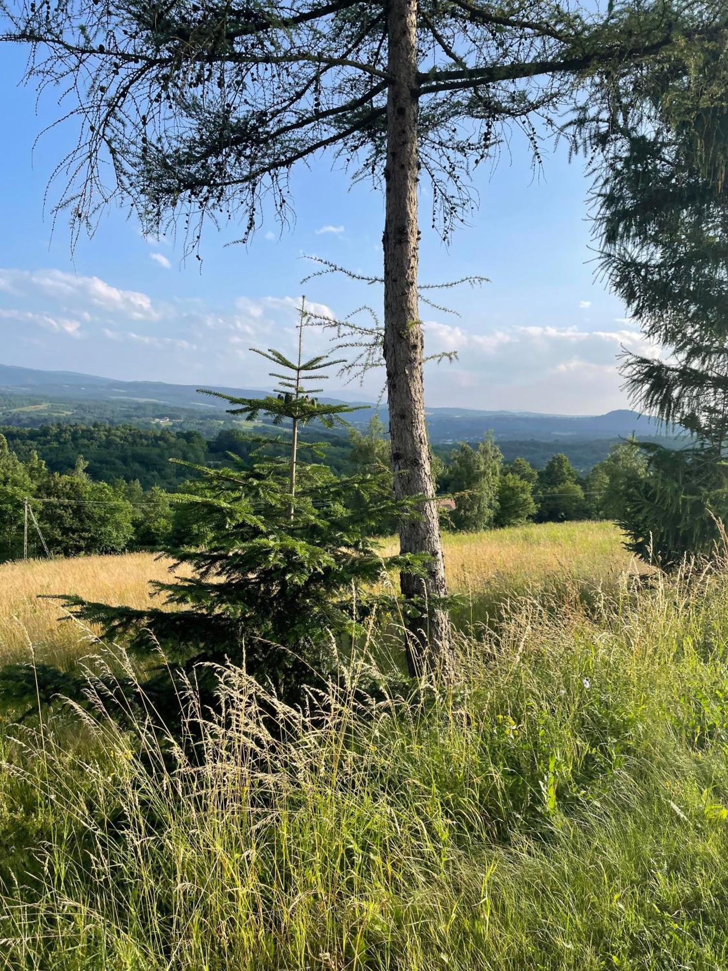 Wioska Jasia I Malgosi Izdebnik Exteriér fotografie